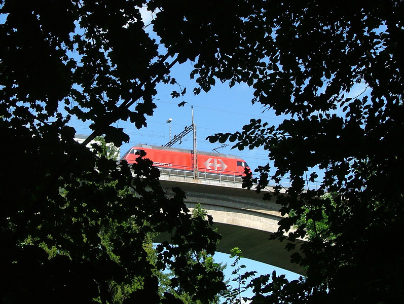 SBB Re460 crosses the Aare viaduct in Bern